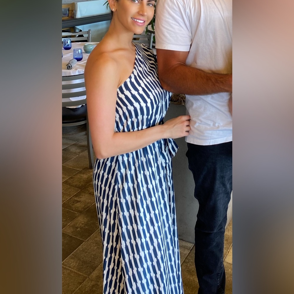 Vici Navy and White Maxi Dress